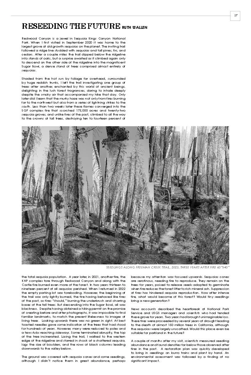 SeedBroadcast 2024 #21_edited_Page_17.jpg
