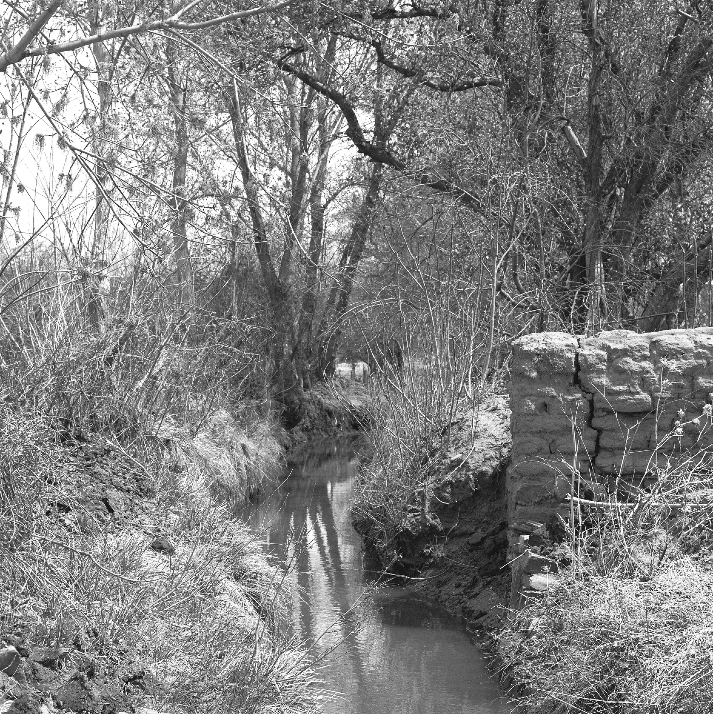 Acequia Madre.jpg