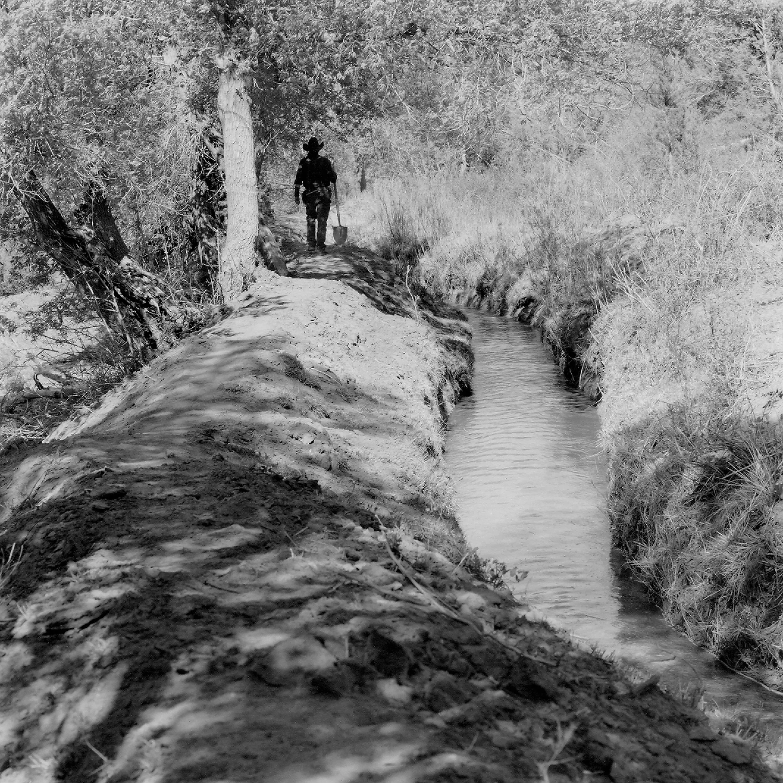 Walking the Ditch.jpg