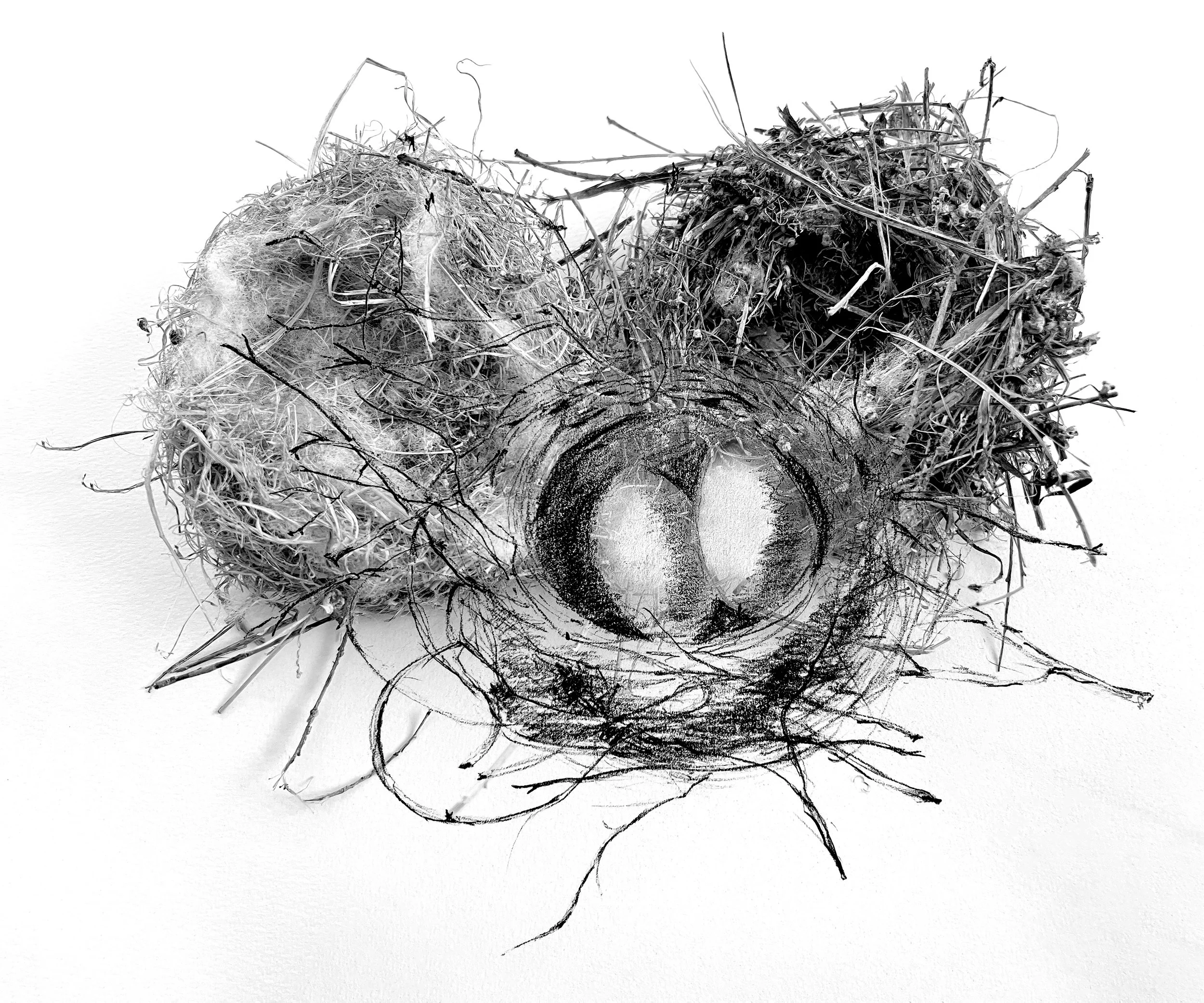 2 Nests&Drawing_9090.jpg