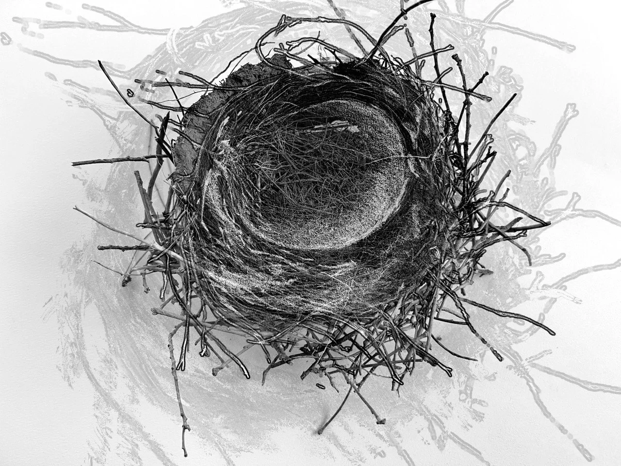 One Nest_Big Drawing_9088.jpeg