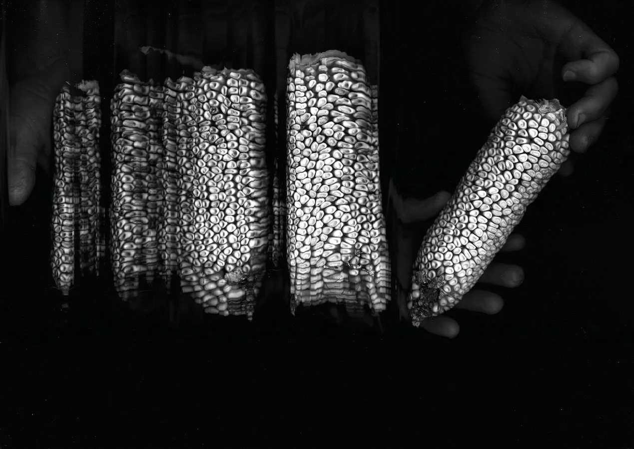 conversing with seeds