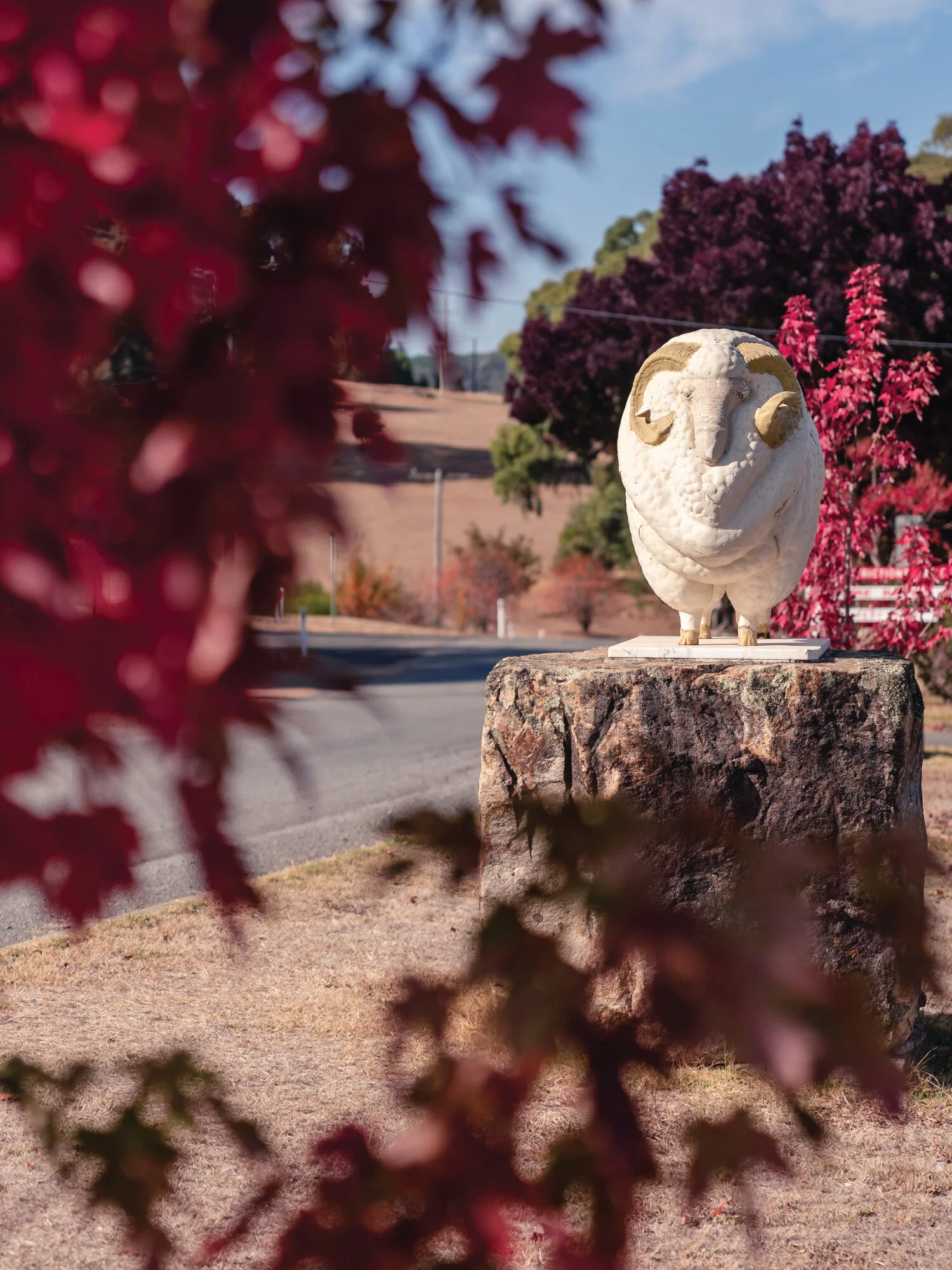 Strathbogie — The Strathbogie Story