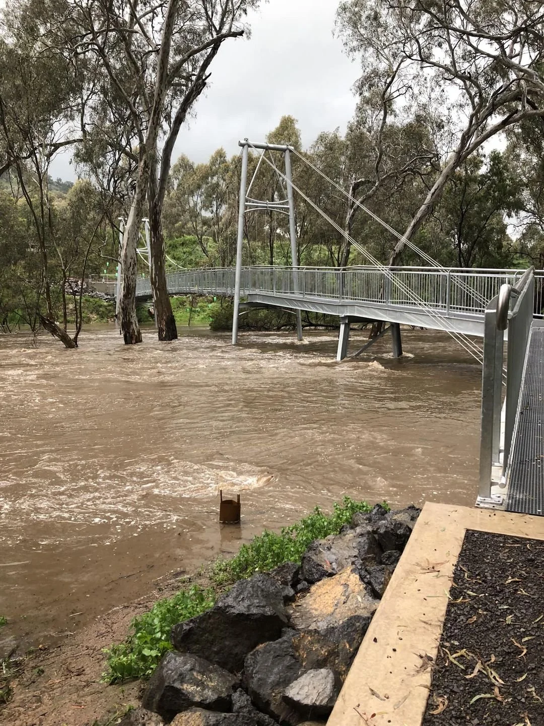The Rockies — The Strathbogie Story