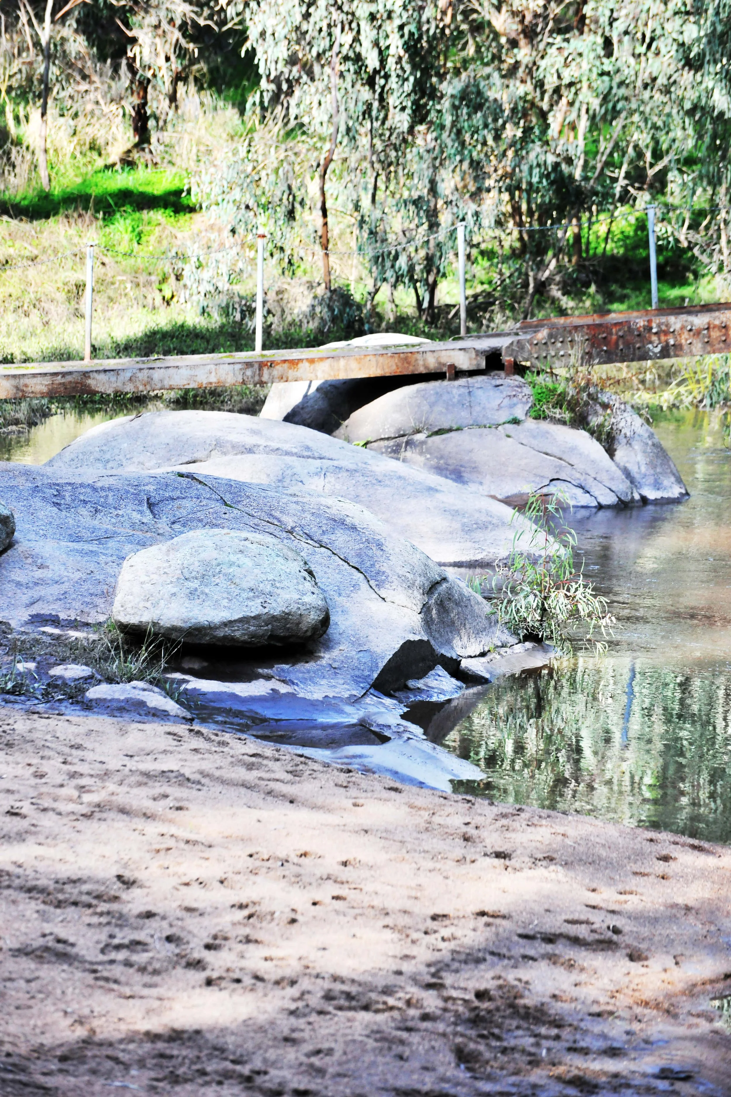 The Rockies — The Strathbogie Story
