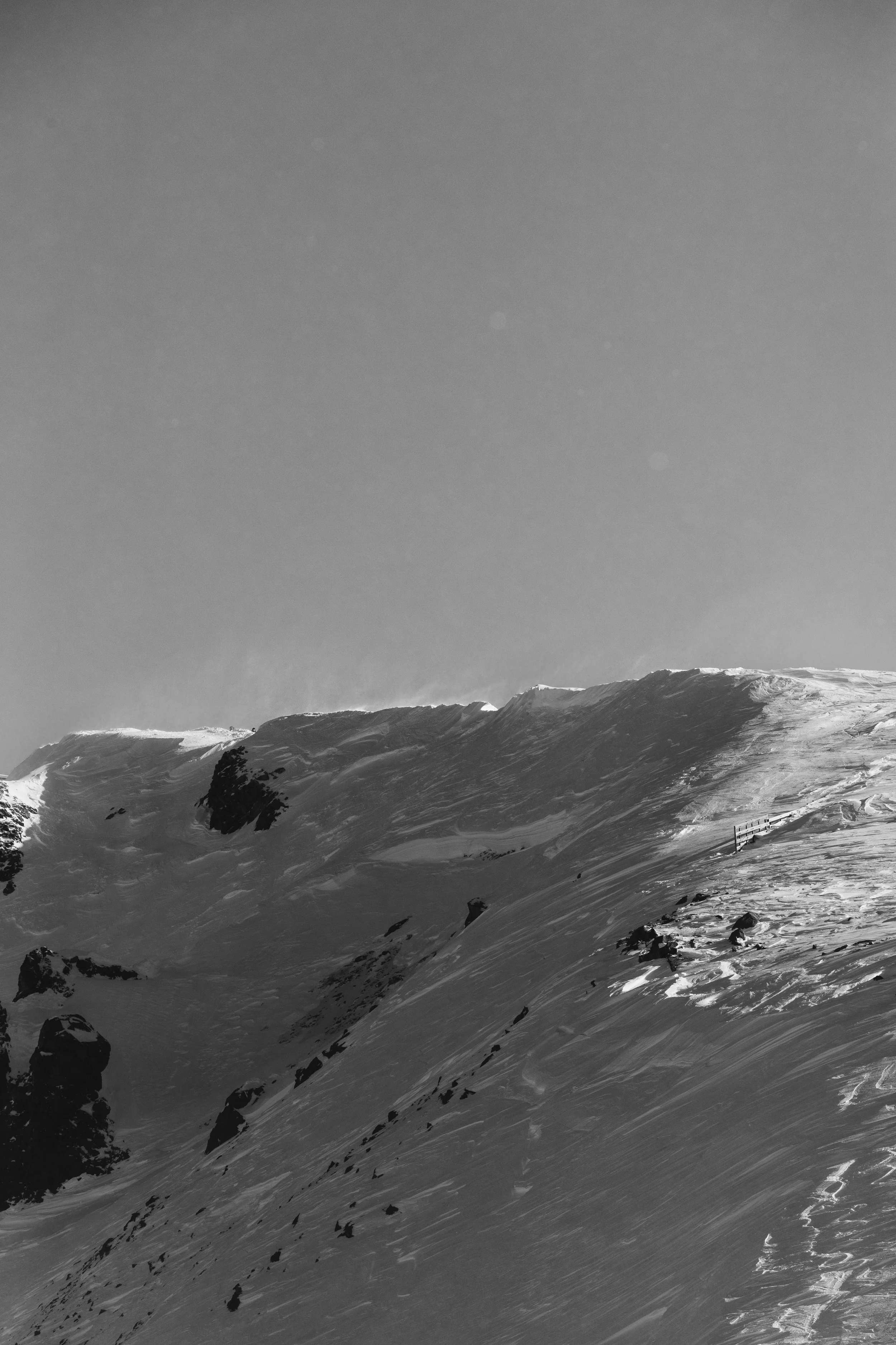 Mammoth Day 1-0884.JPG