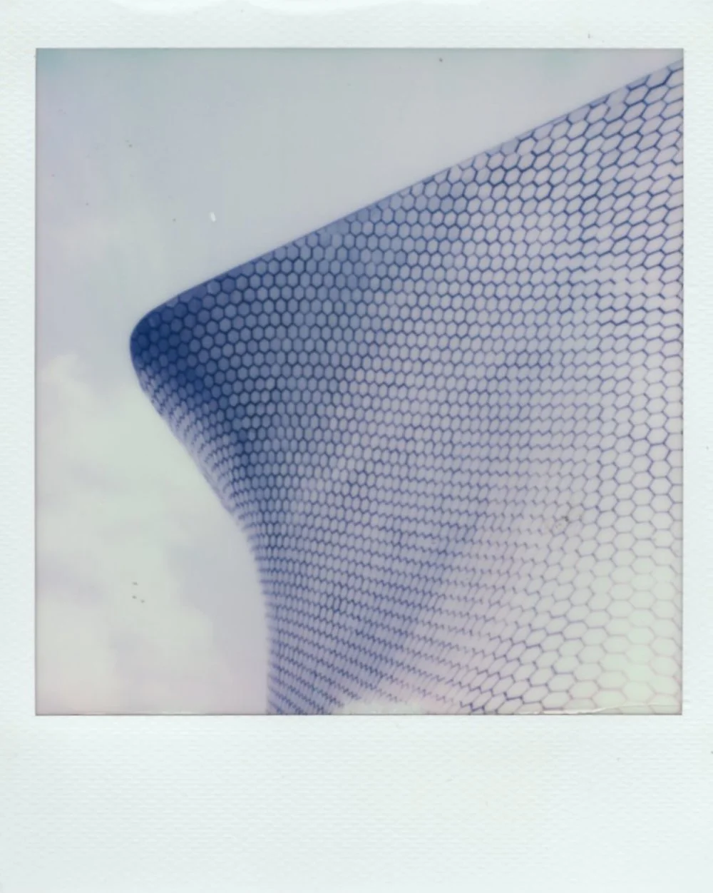 polaroid color 017.jpeg