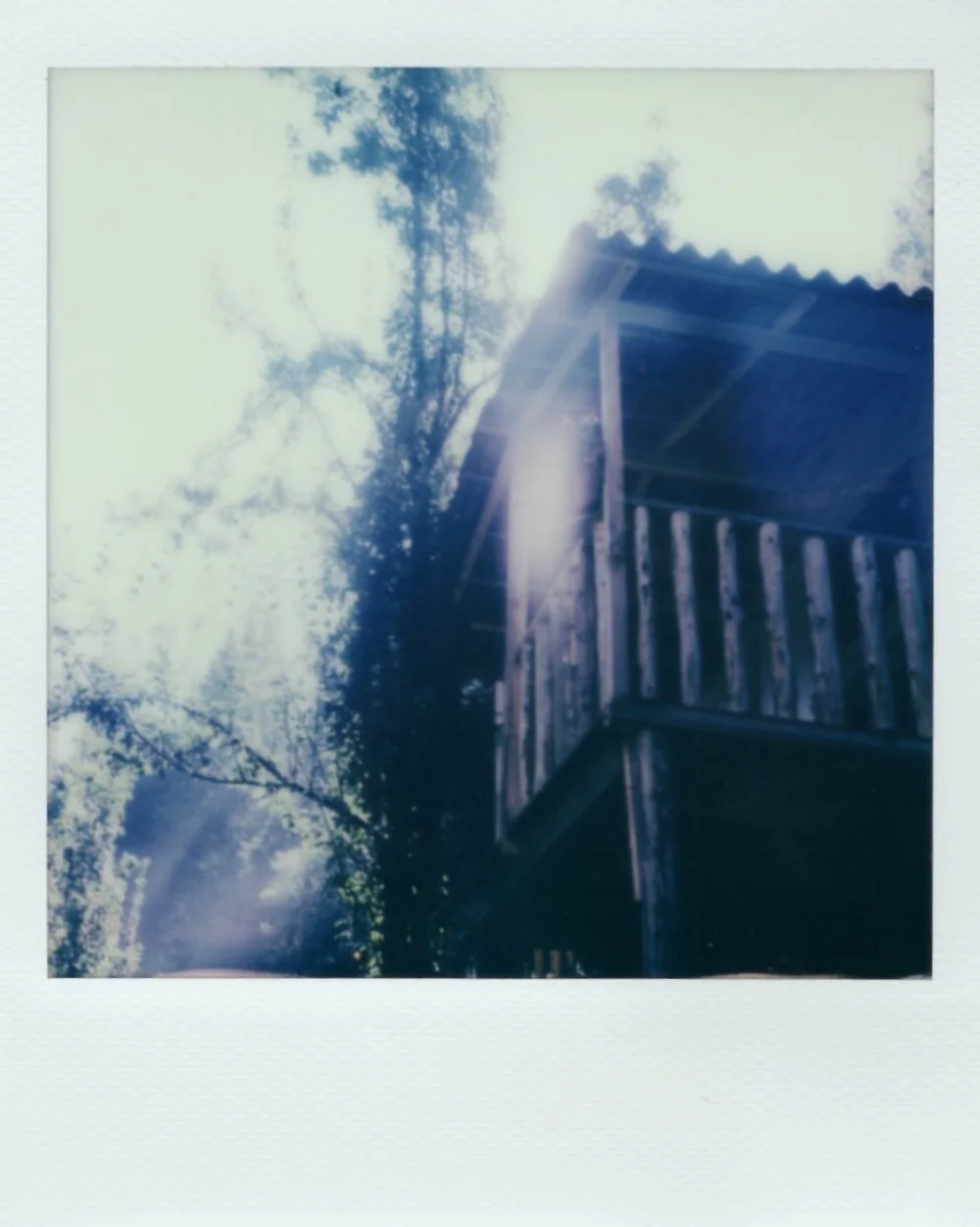 polaroid color 010.jpeg