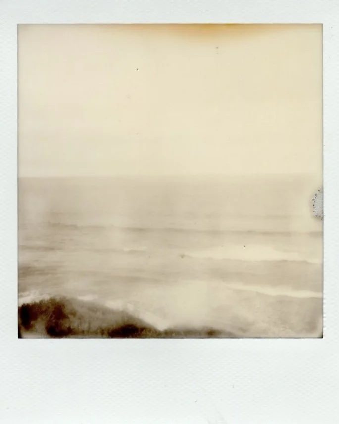 polaroid bn 05.jpg