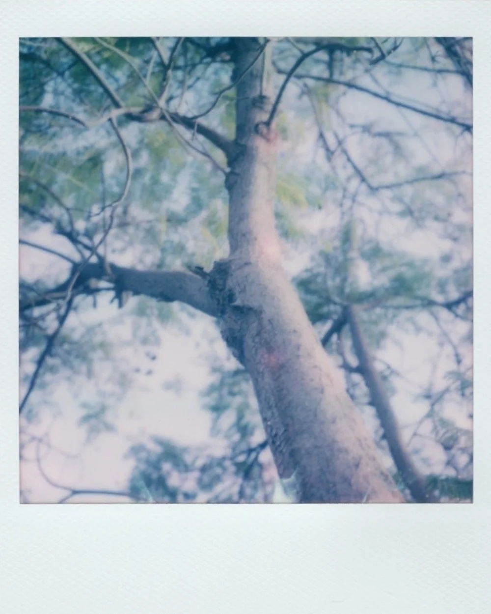 polaroid color 020.jpeg