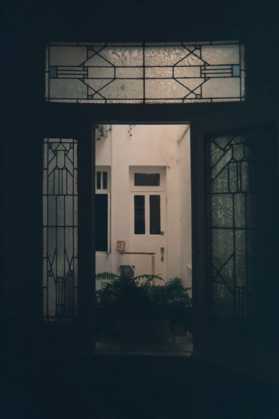 kodak funsaver 011.jpg