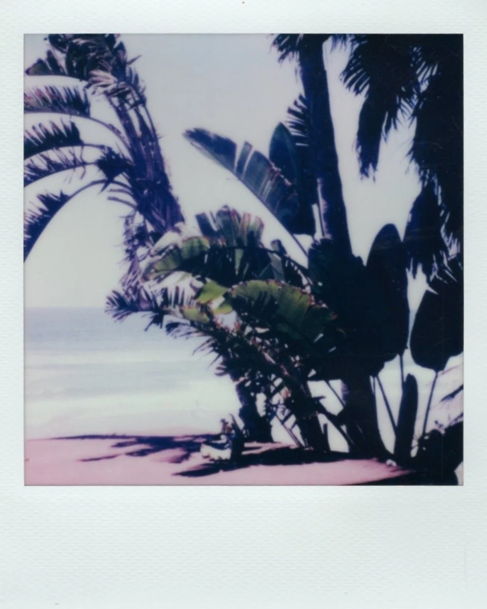 polaroid color 013.jpeg