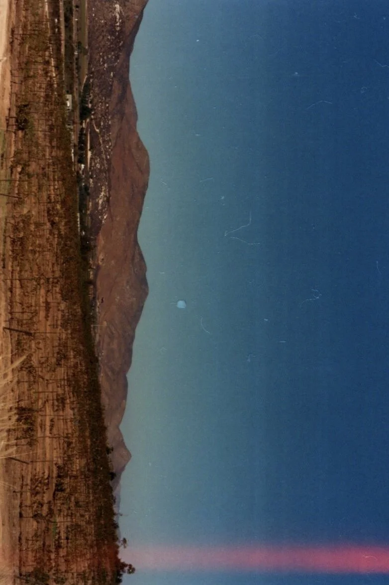 superia 018.jpg