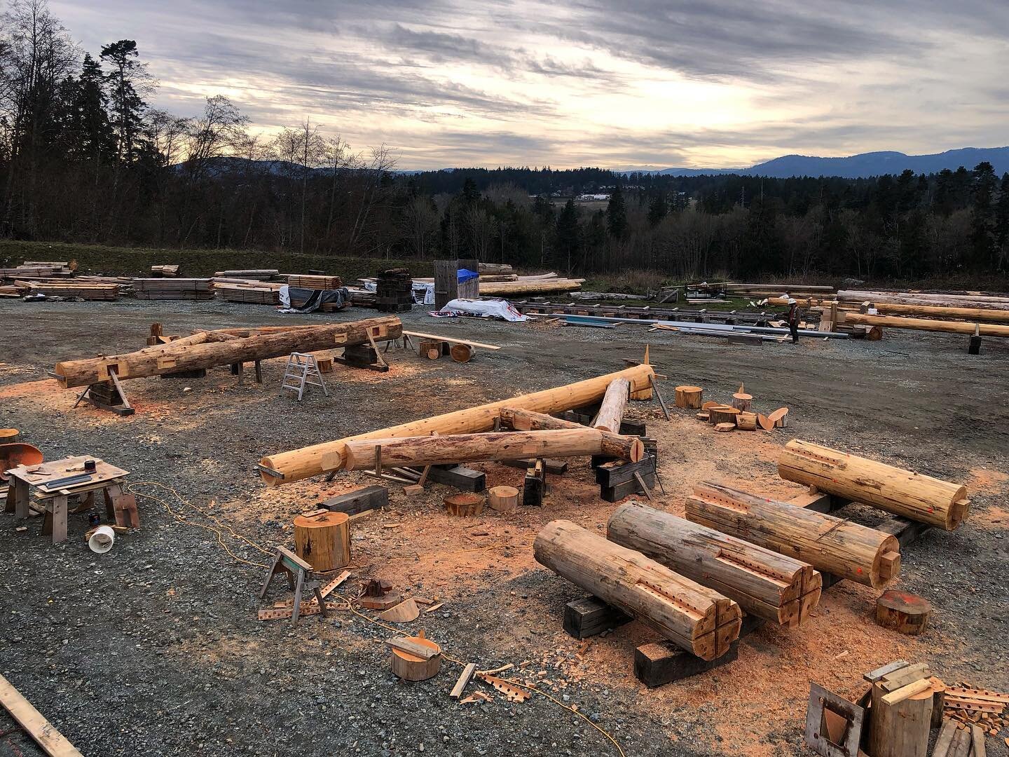 Trusses are dry fitted and posts are prepped, ready to be taken apart for transport and then installed. 
.
.
.
.
.
#timberframe#heavytimbers#timberframestructure#roundlog#logbuilding#carpentry#engineering#architecture#timber#postandbeam#cedar#fir#ins