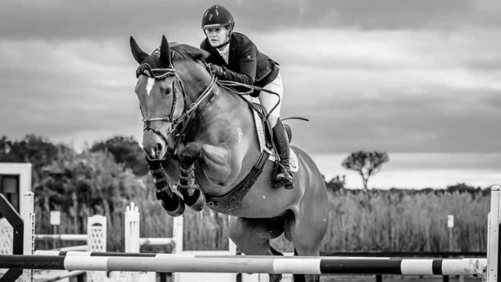 Winter Showjumping Series