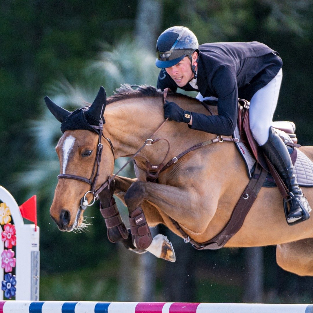 Winter Showjumping Series