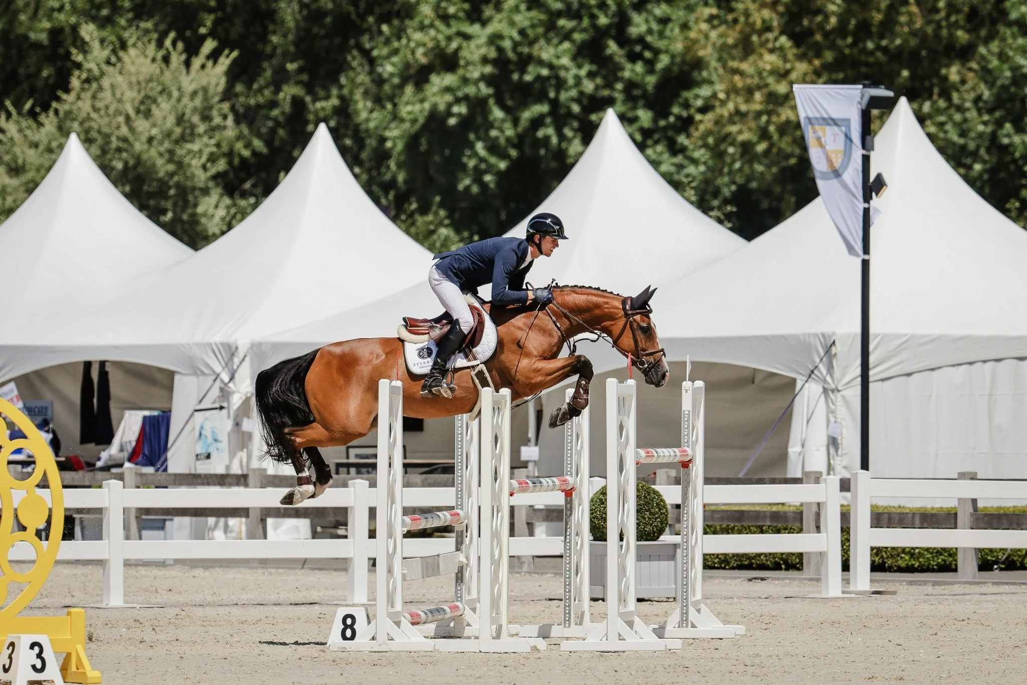 Showjumping Practice Day