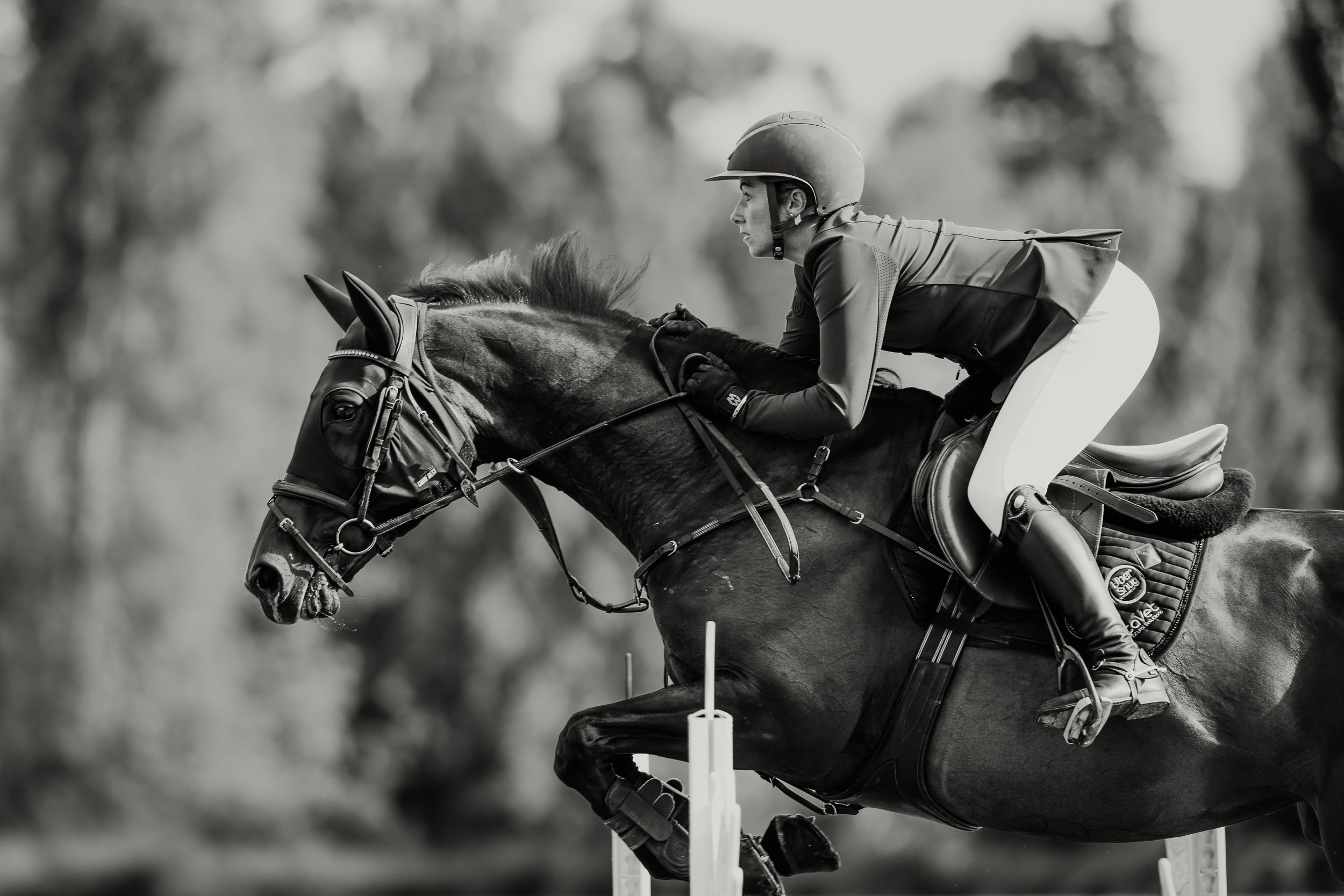 Showjumping Practice Day