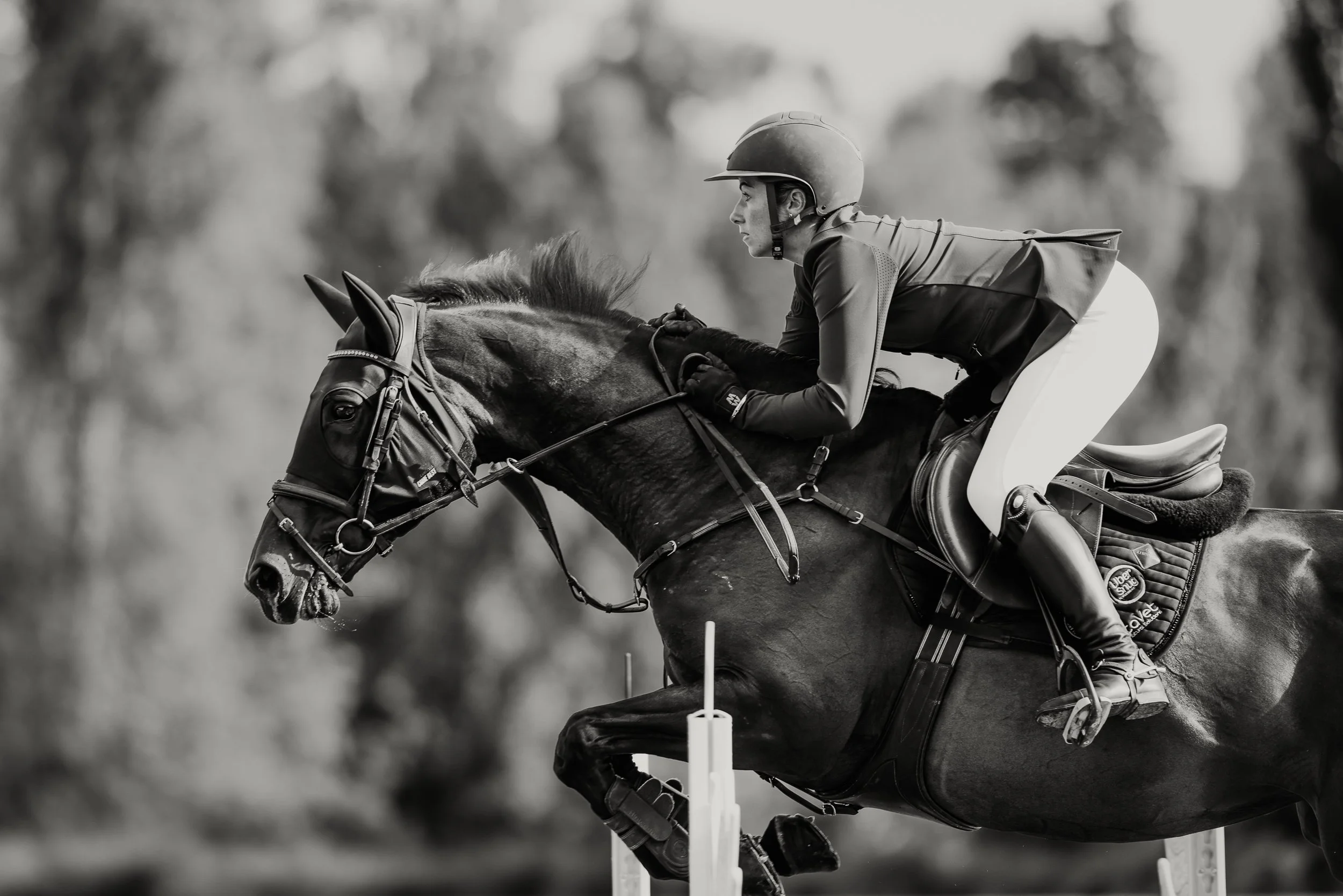 Showjumping Practice Day