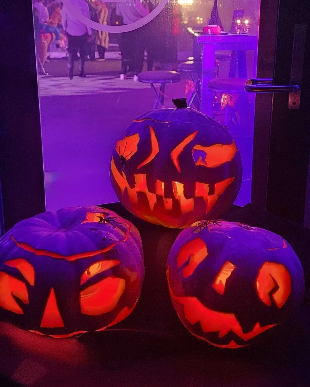 Haunted Hooves Halloween went off! The Monroes absolutely rocked the house 🕺🖤 Thanks to everyone who came dressed in their spooky best, the costumes were next level!

#halloween #partytime #takapotoestate #takapotoestateshowjumping