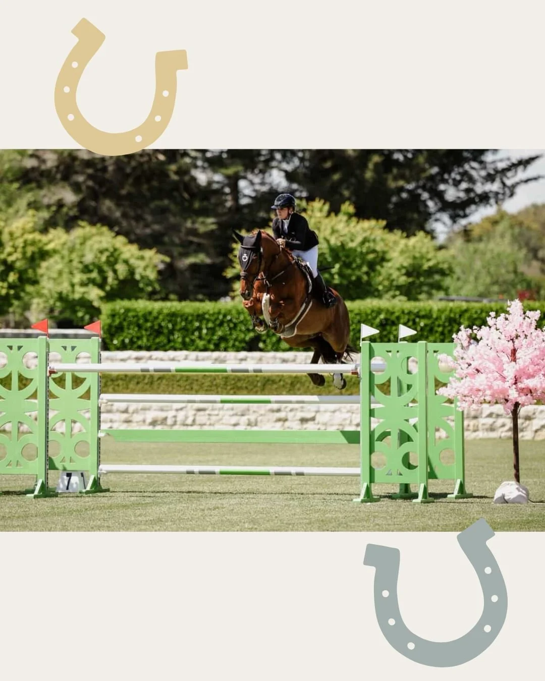 That's a wrap for Spring Cups and the FEI Jumping World Cup&trade; Qualifiers at Takapoto Estate for the season! A big congrats to Sophie Scott &amp; Normandy GHP for securing the win today 🎉

Results:

🥇 1st Sophie Scott and Normandy GHP
🥈 2nd Ma