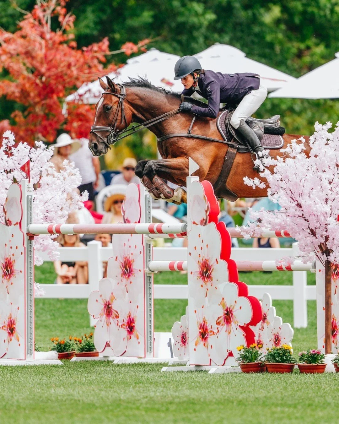 Takapoto Classic 2026 - schedule out now! 🥳🎉

📸 Photo by @theartofmichelleclarke
Emma Gaze + Kowhai Bug 🐎

#takapotoclassic2026 #takapotoestateshowjumping #getready
