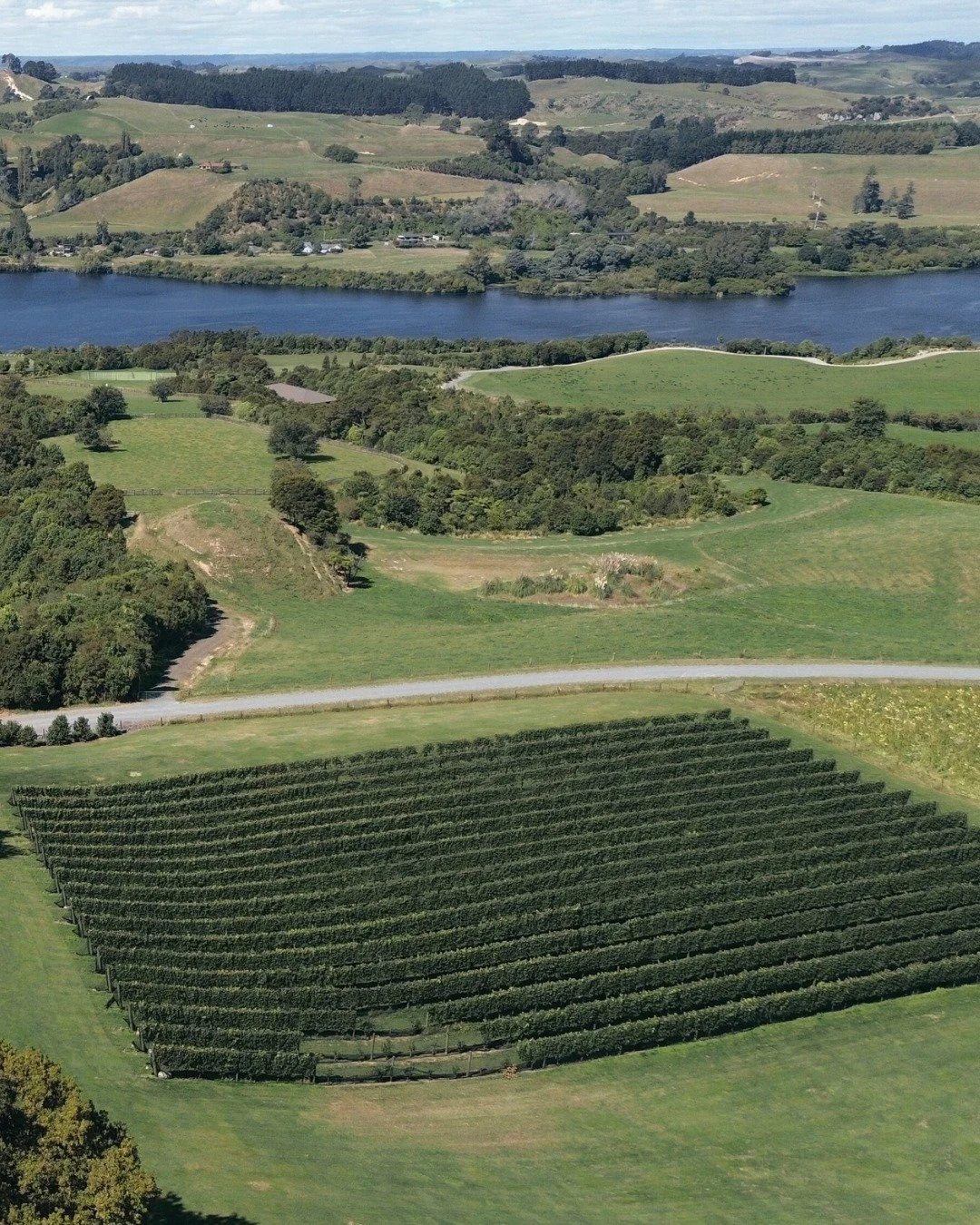 One more Takapoto Tour added before Christmas ✨

📅 Monday 22nd December
⏰ 9am start
🍷 Optional wine tasting to finish

A perfect chance to step away from the silly season for a few hours. Think fresh air, beautiful landscaping, native plants and bi