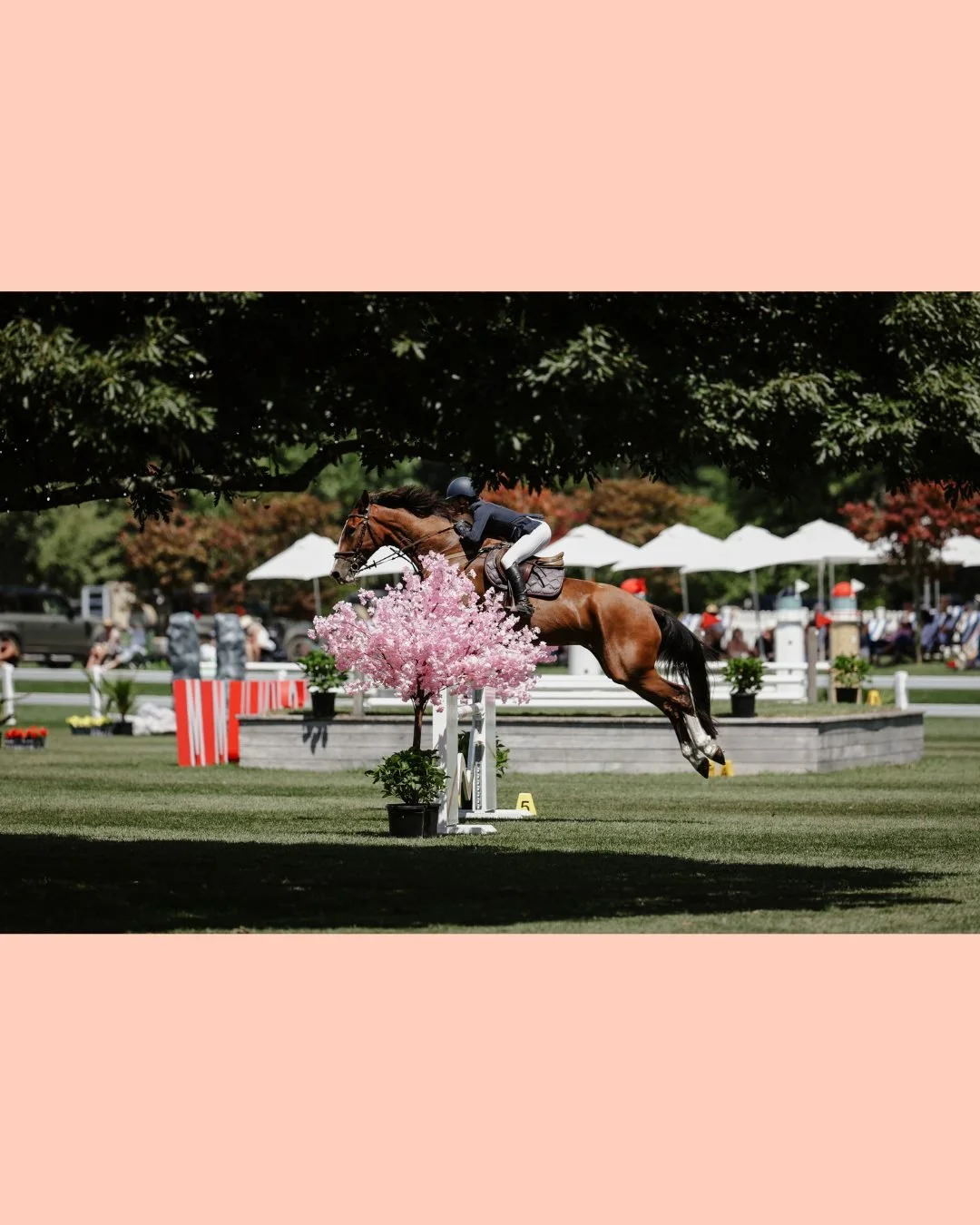 The countdown is on! Takapoto Classic 2026, 17-22 Feb 🚩

🐎 Entries open at 7pm this Monday, 12th Jan...
🎟️ Presales end on Friday 16th Jan.

Visit link-in-bio for all event info, and get prepped! 

Photo by @cornege_media 🔥

#takapotoclassic2026 