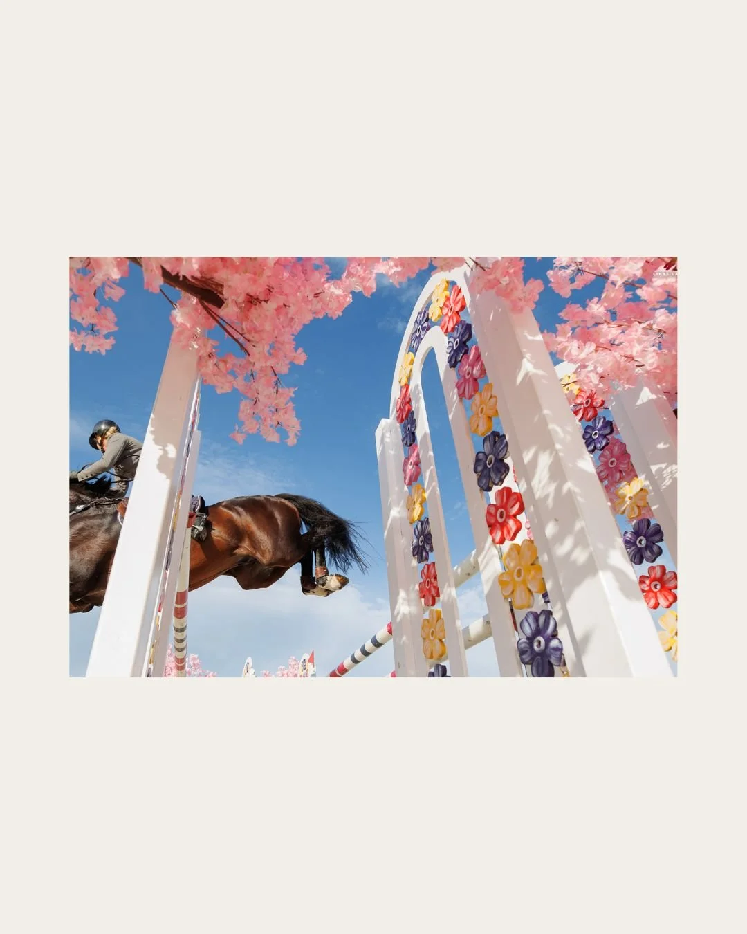 The countdown is on! 

The Takapoto Classic returns 17&ndash;22 February.

Our signature summer show is now under one month away.

This is where world-class showjumping meets considered luxury. Each year, we design a new experience to surprise, delig