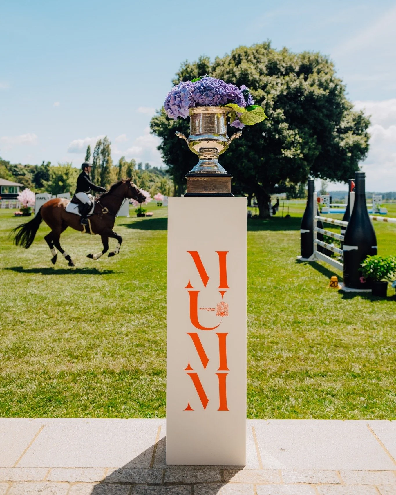 A slice of summer is returning to Takapoto Estate.

Takapoto Classic 2026
17 - 22 February ☀️

Photo by @radlab_ 

#takapotoestate #summer #showjumping #sliceofsummer #takapotoestateshowjumping