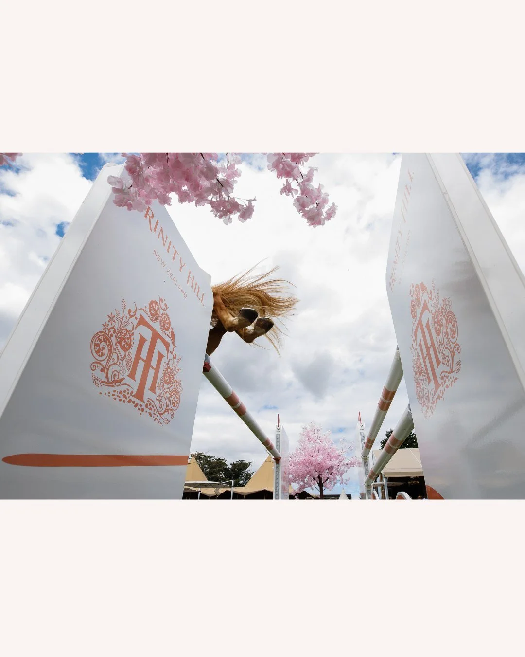 Thrilled to be adding even more firepower to our media line-up for the Takapoto Classic 2026 🔥 Joining us Wednesday through to Sunday is none other than equestrian photographer Libby Law.

We're bringing our A-game 📸✨

Photo by: @libby_law_photogra