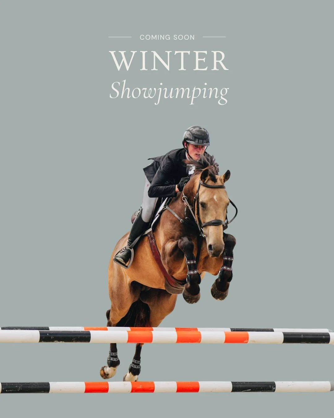 Winter Showjumping at Takapoto Estate is back.

Four occasions across the season - three of training, one of competition. 

The first event kicks off on Friday 12 - Saturday 13 June. Two rings, 80cm through 1.30m, 9am start each day.

Entries open Tu