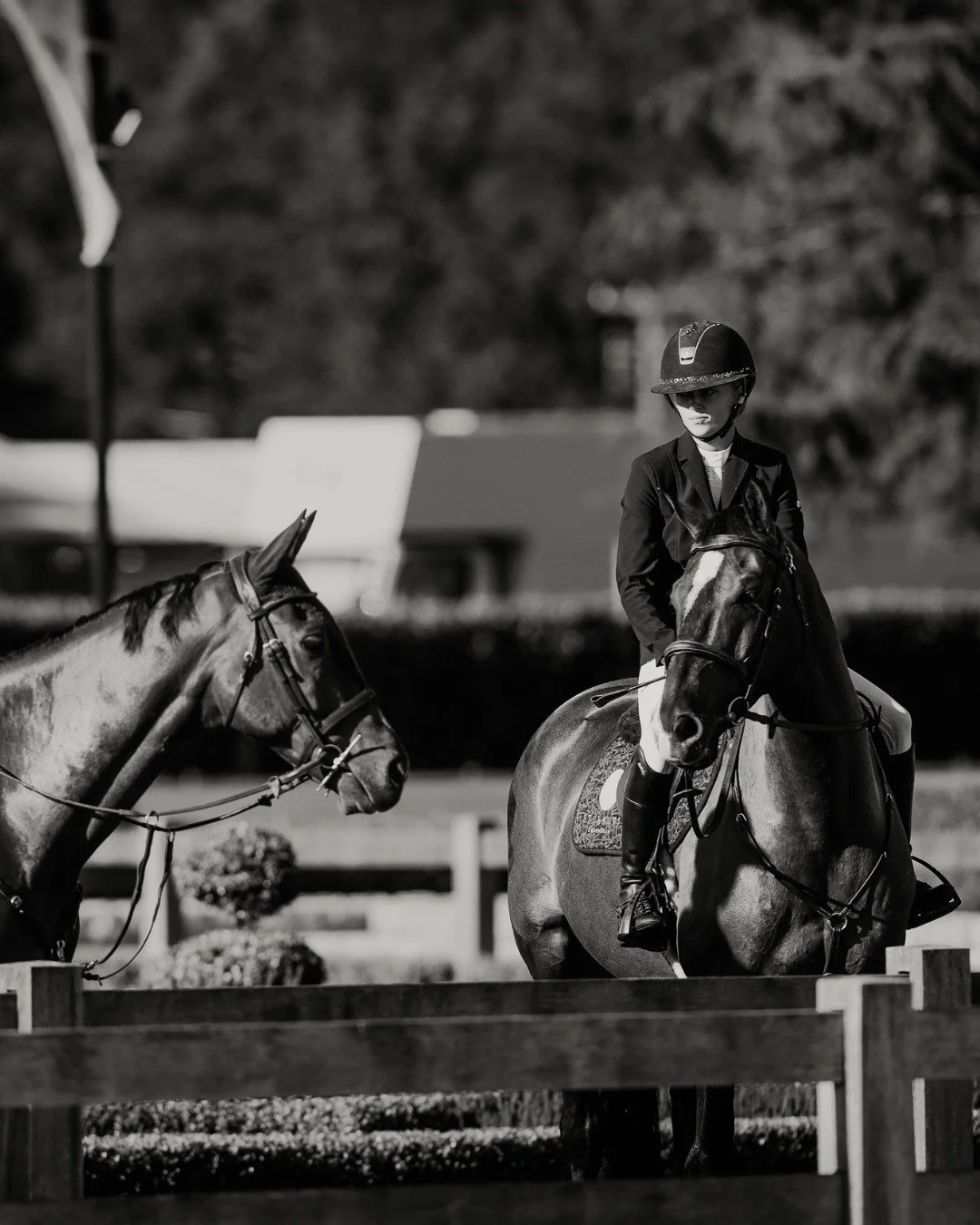 The gates are open at Takapoto Estate today and tomorrow for the first Winter showjumping training event of the season.

We're welcoming back riders and horses for a more informal day of local horsesport, and spectators are very welcome too ☕🍷

@cor