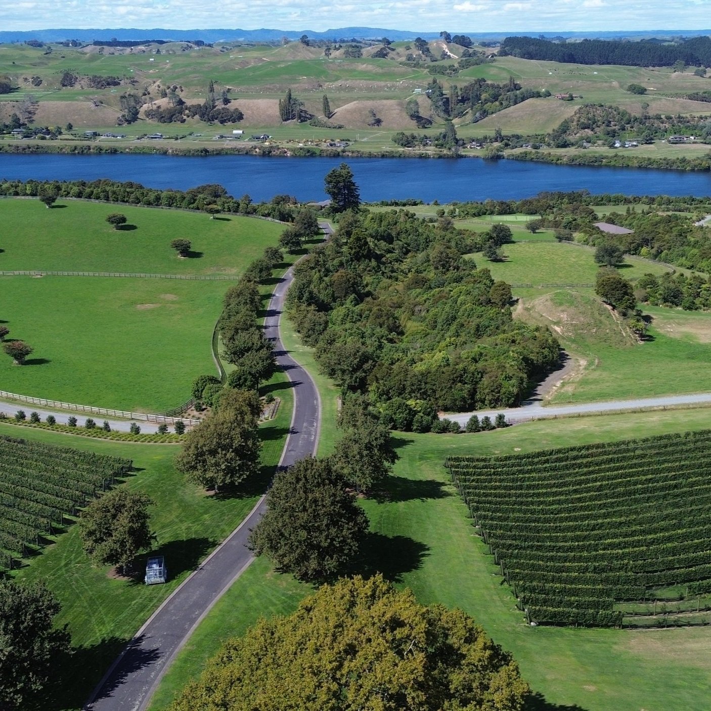 DJI_0335+%281%29.jpg