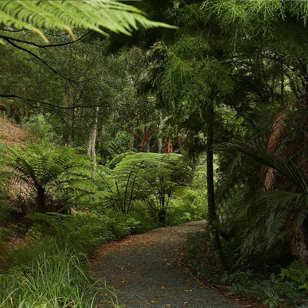 Homepage-banner_7.jpg