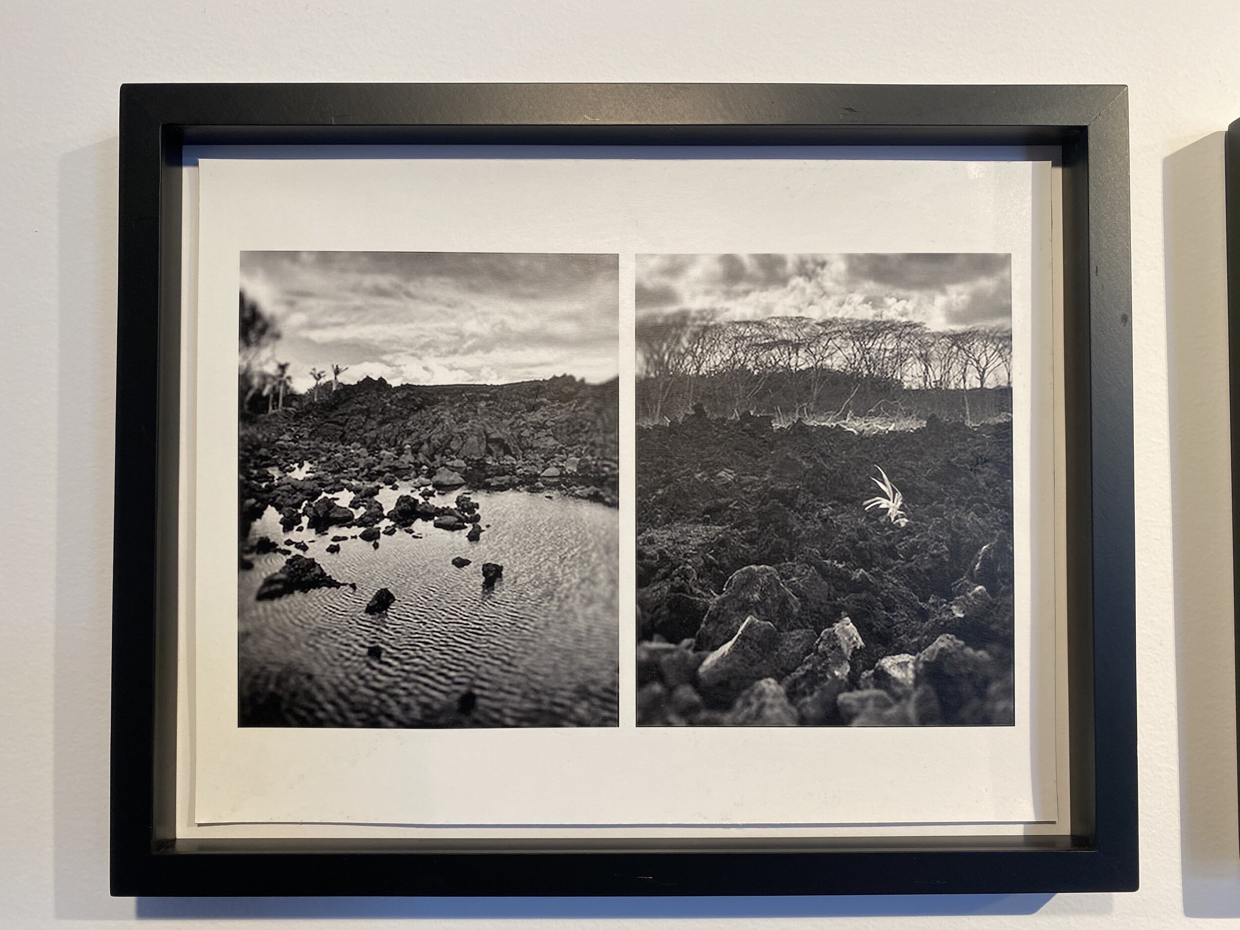 “No Ka Home O Ka Hale Kahiko” Diana Nicholette Jeon courtesy Marne Lucas