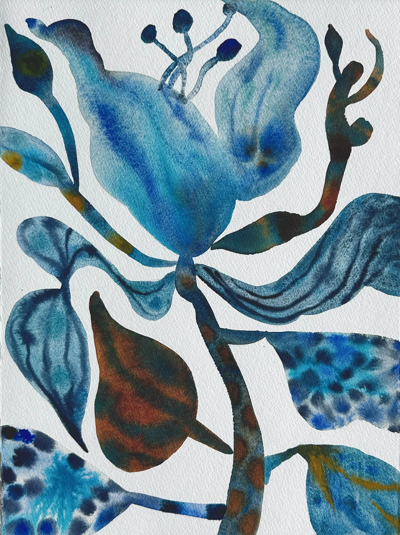"Velvet Bloom 3" 16 x 12 in. Watercolor and Ink