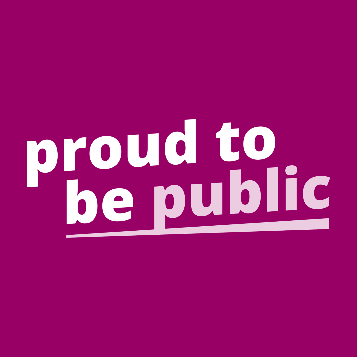 Proud to be Public