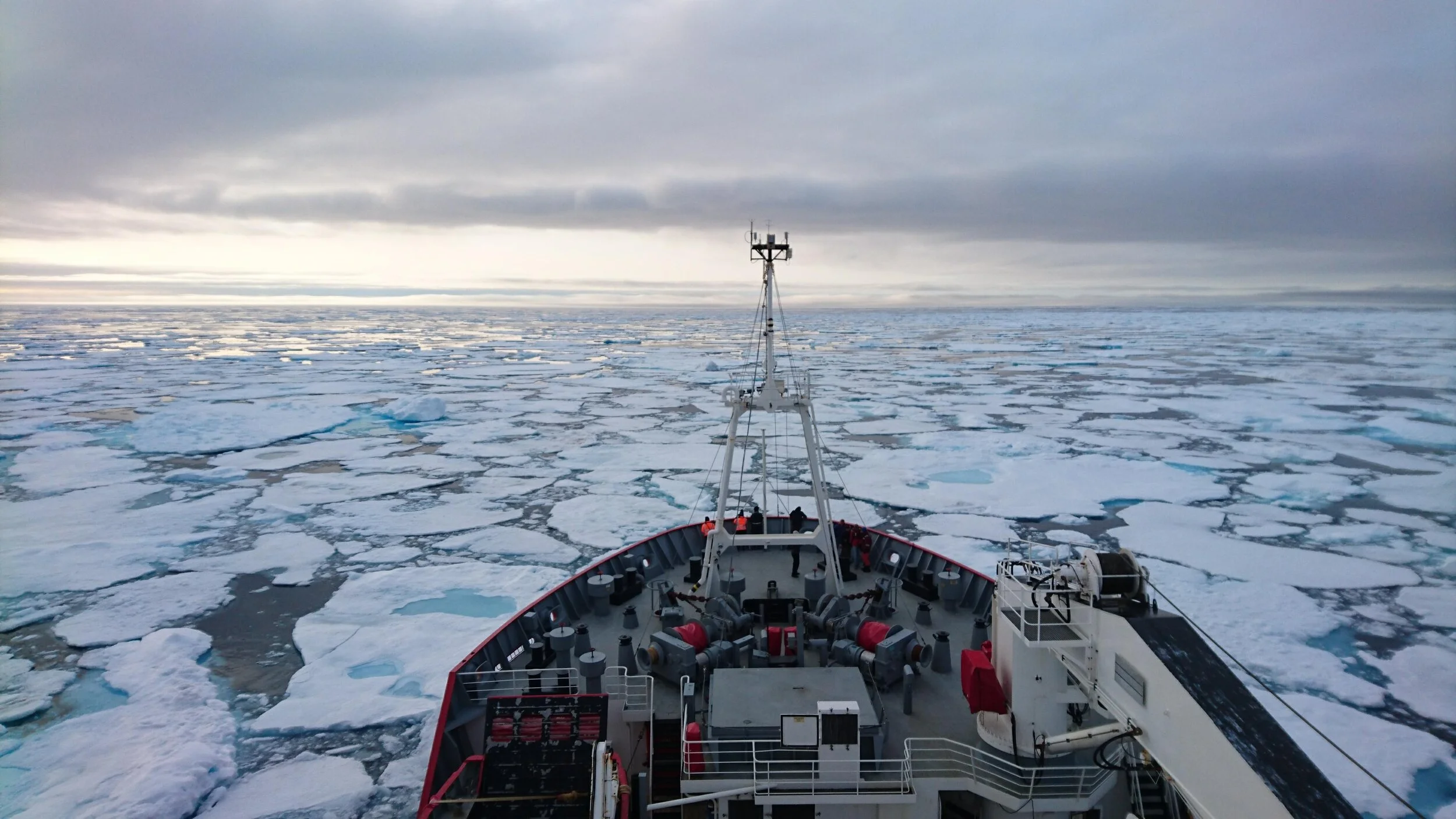 Introduction to Everything Polar