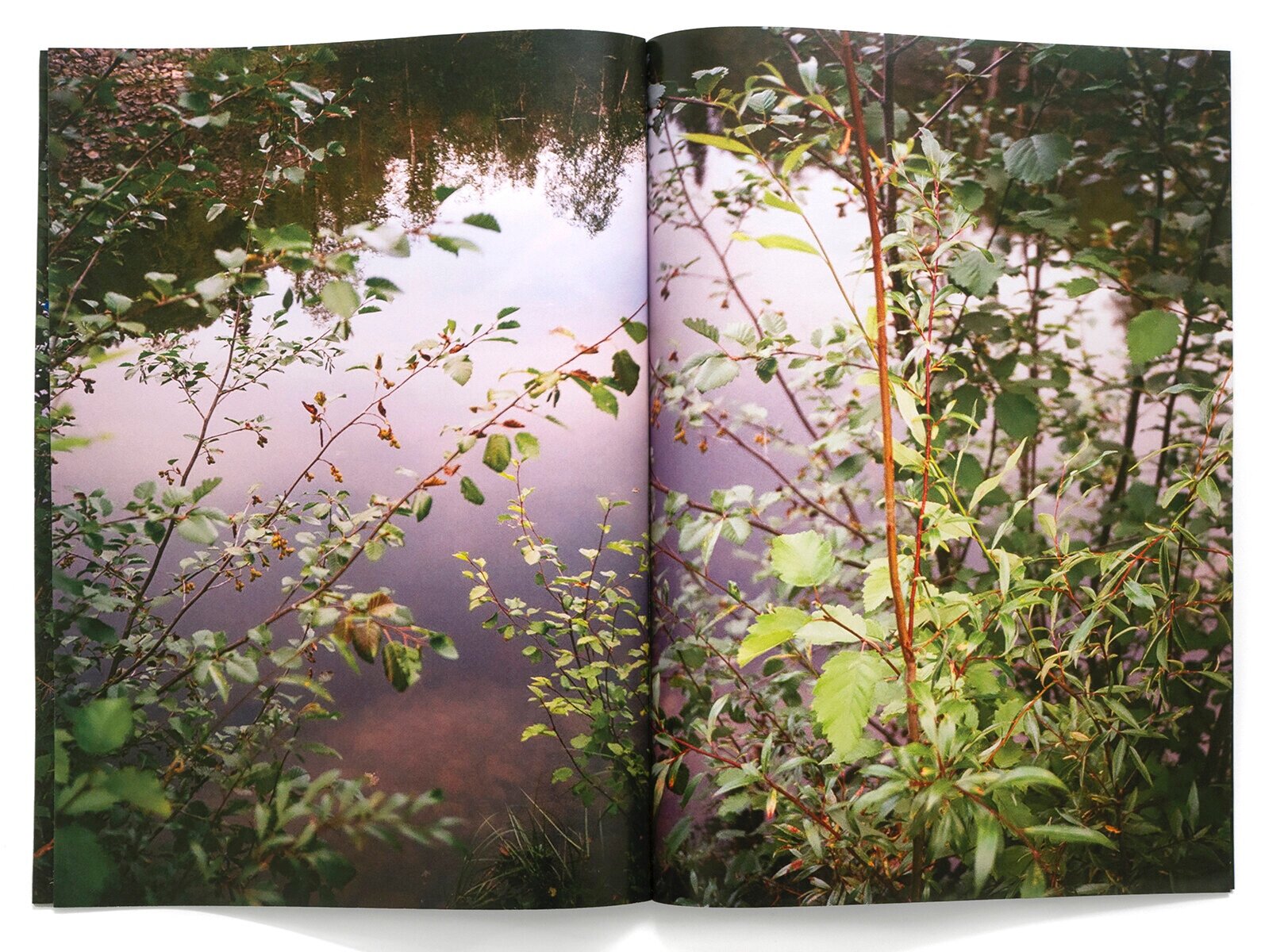 Pond, laser print book, 8 pages, 12.25” x 16.5”, 2020 
