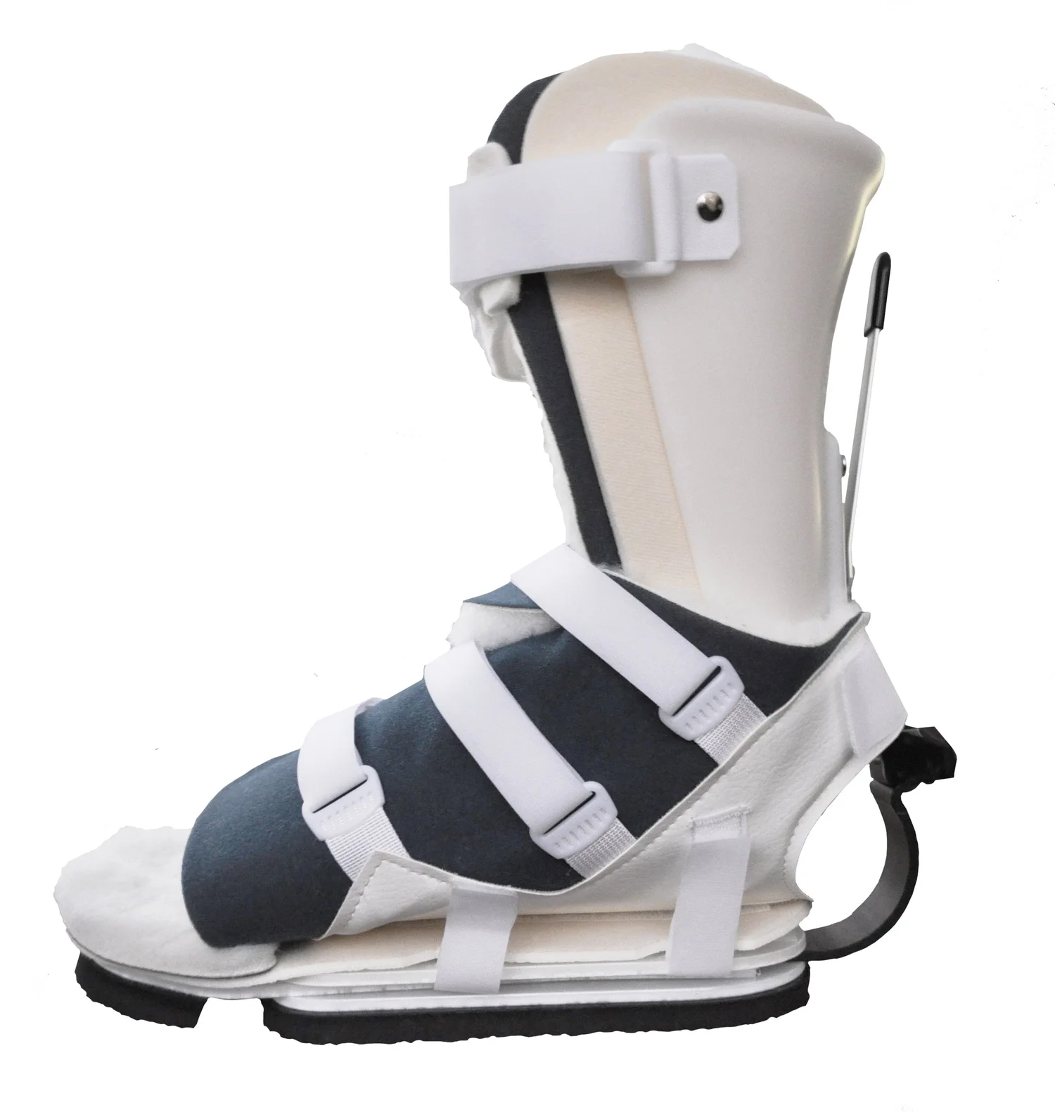 ICU Heel Protection: Starting Prevention Early — Anatomical Concepts
