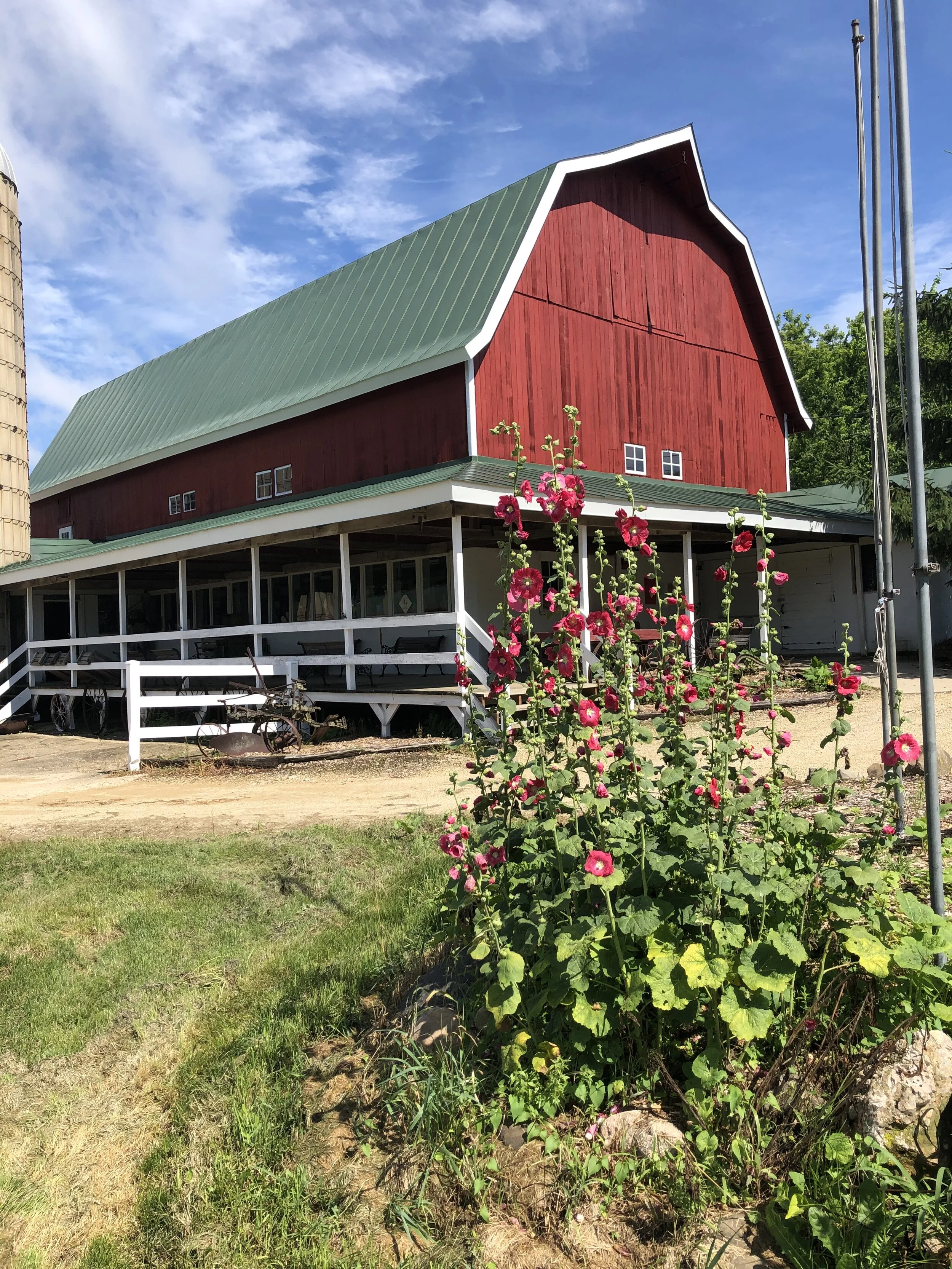 hollyhock barn.JPG