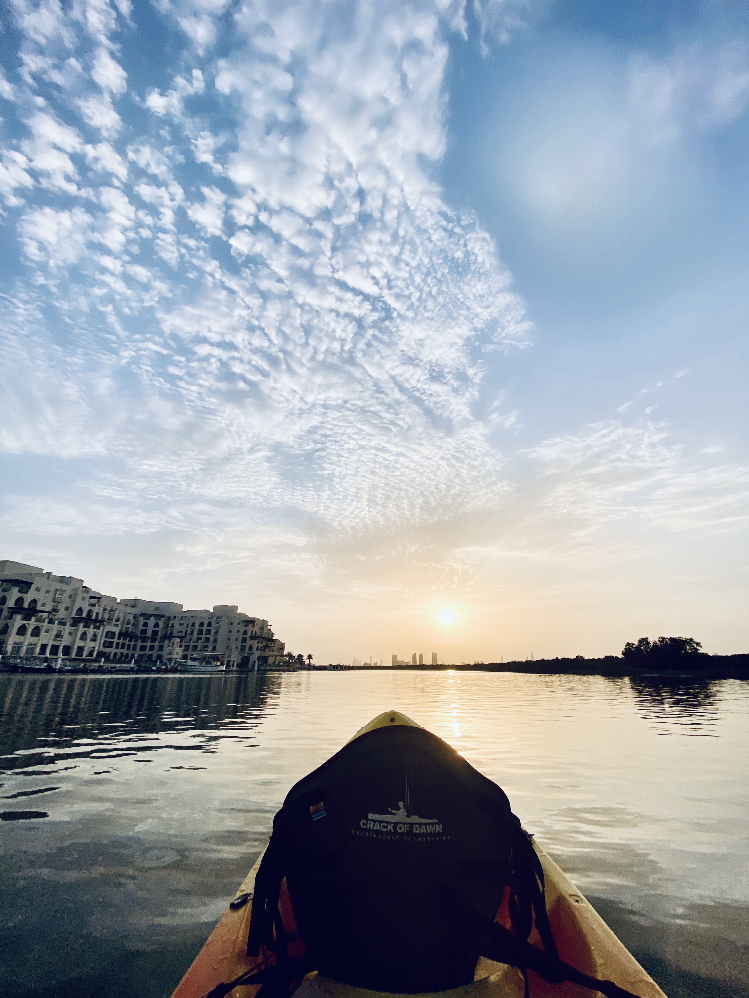 At the mangroves