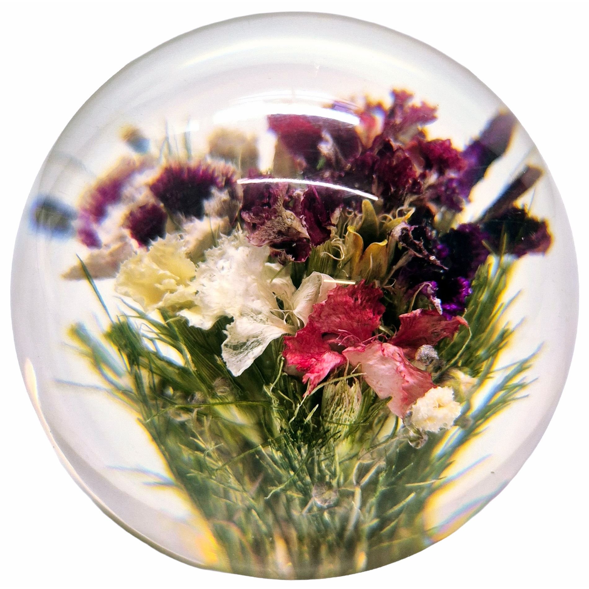 white-Medium Mixed Flora 01.JPG