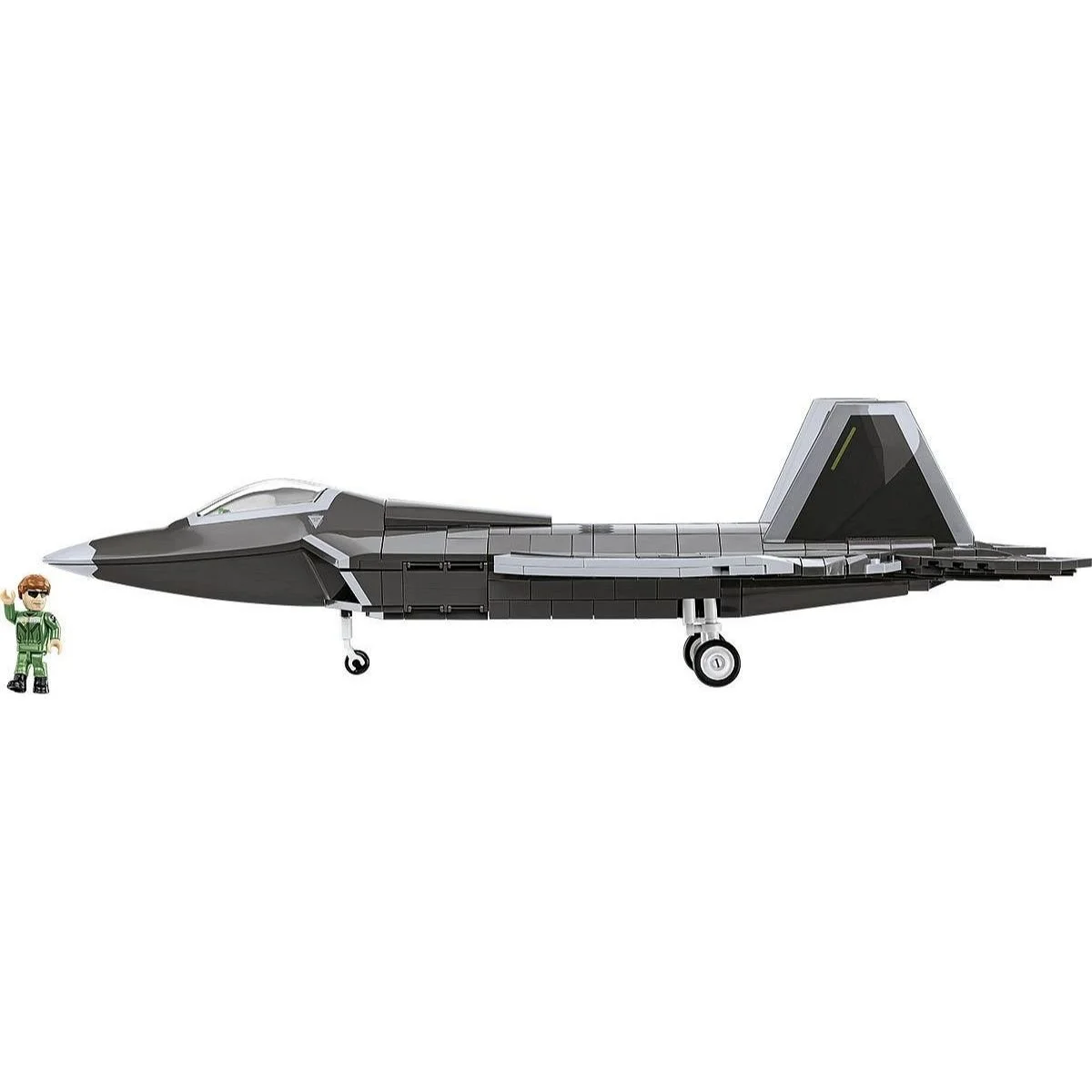 white-5855-Lockheed F-22 Raptor-scene-sideway.jpg