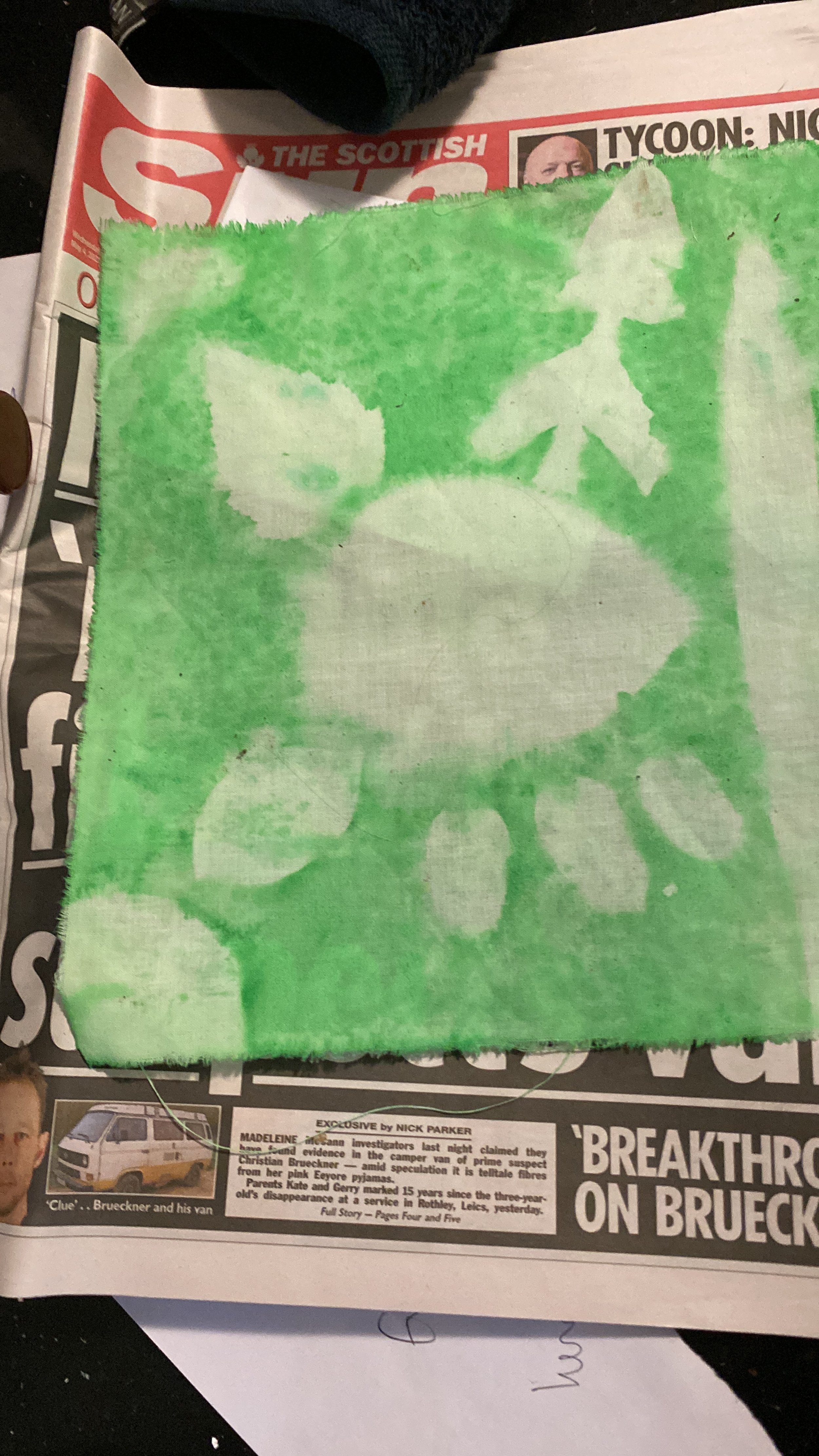 solar art 4.JPG