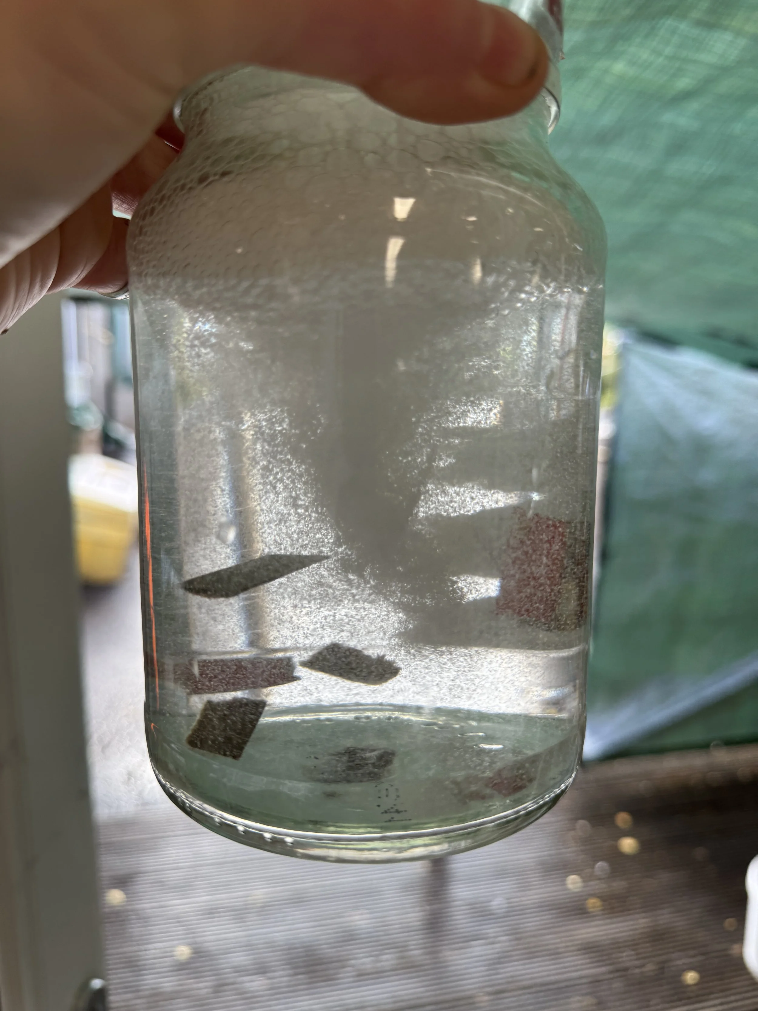 torando in a jar.JPG