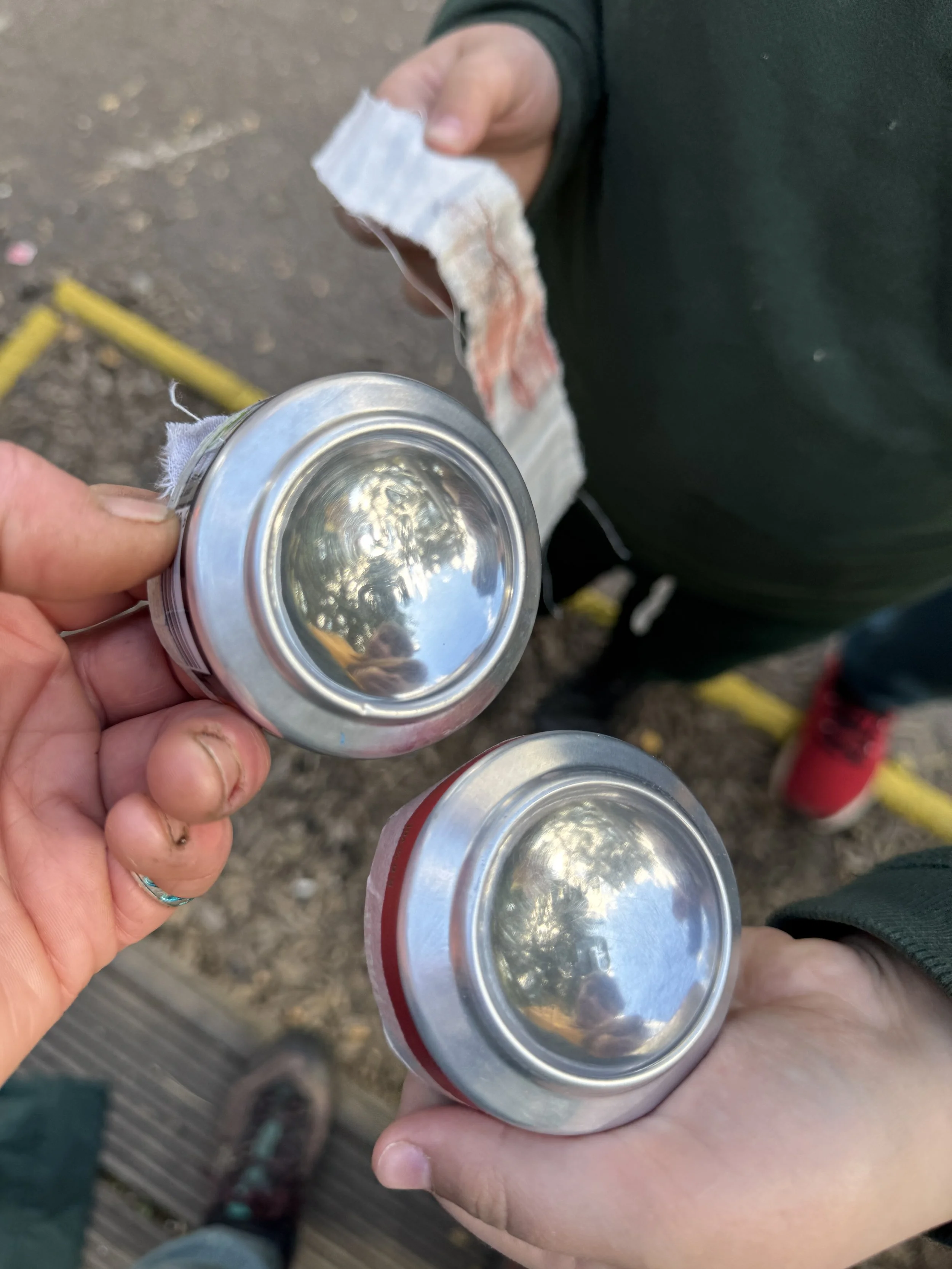 parabolic bowls.JPG