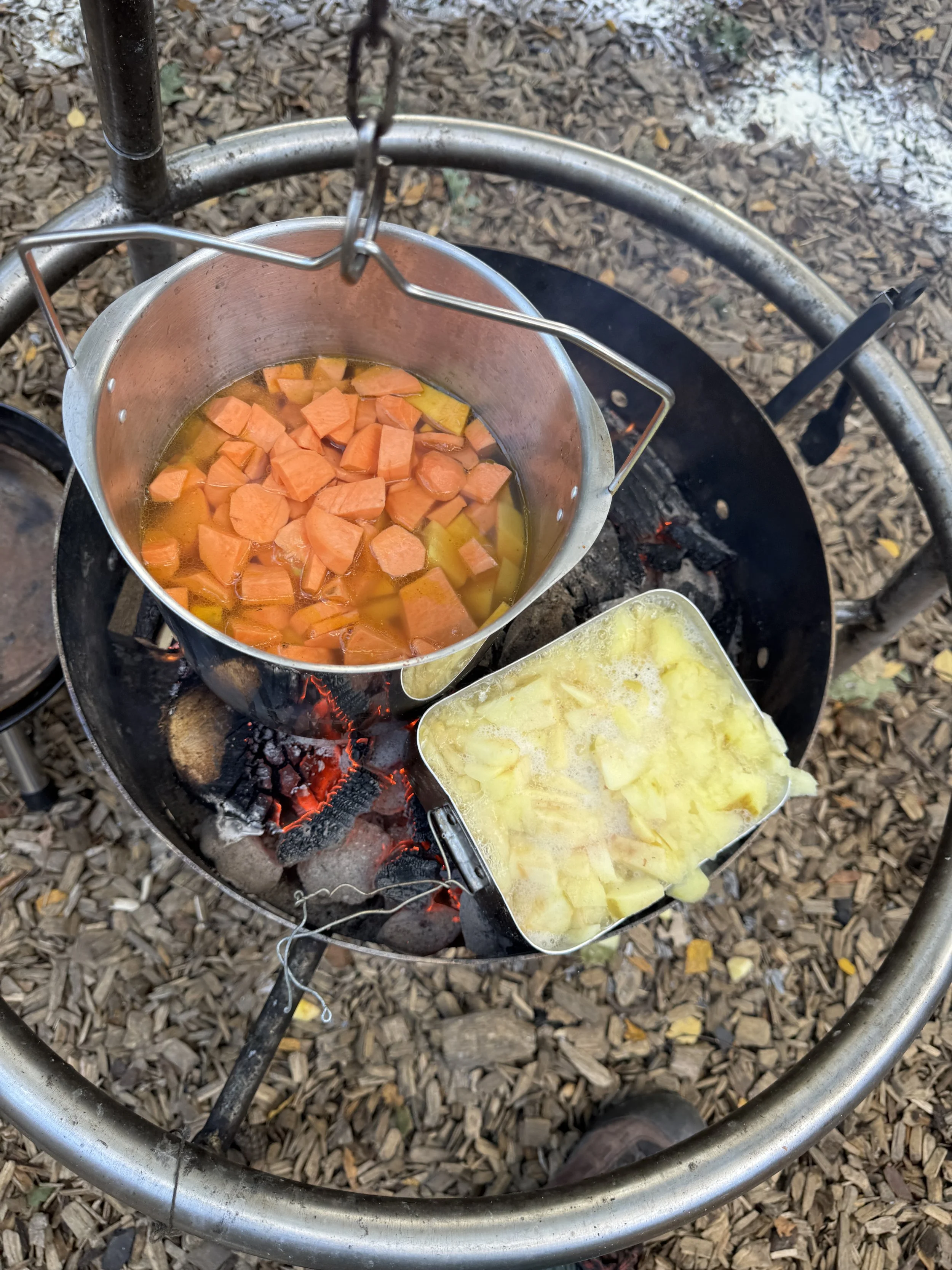 soup and apples cookiing.JPG