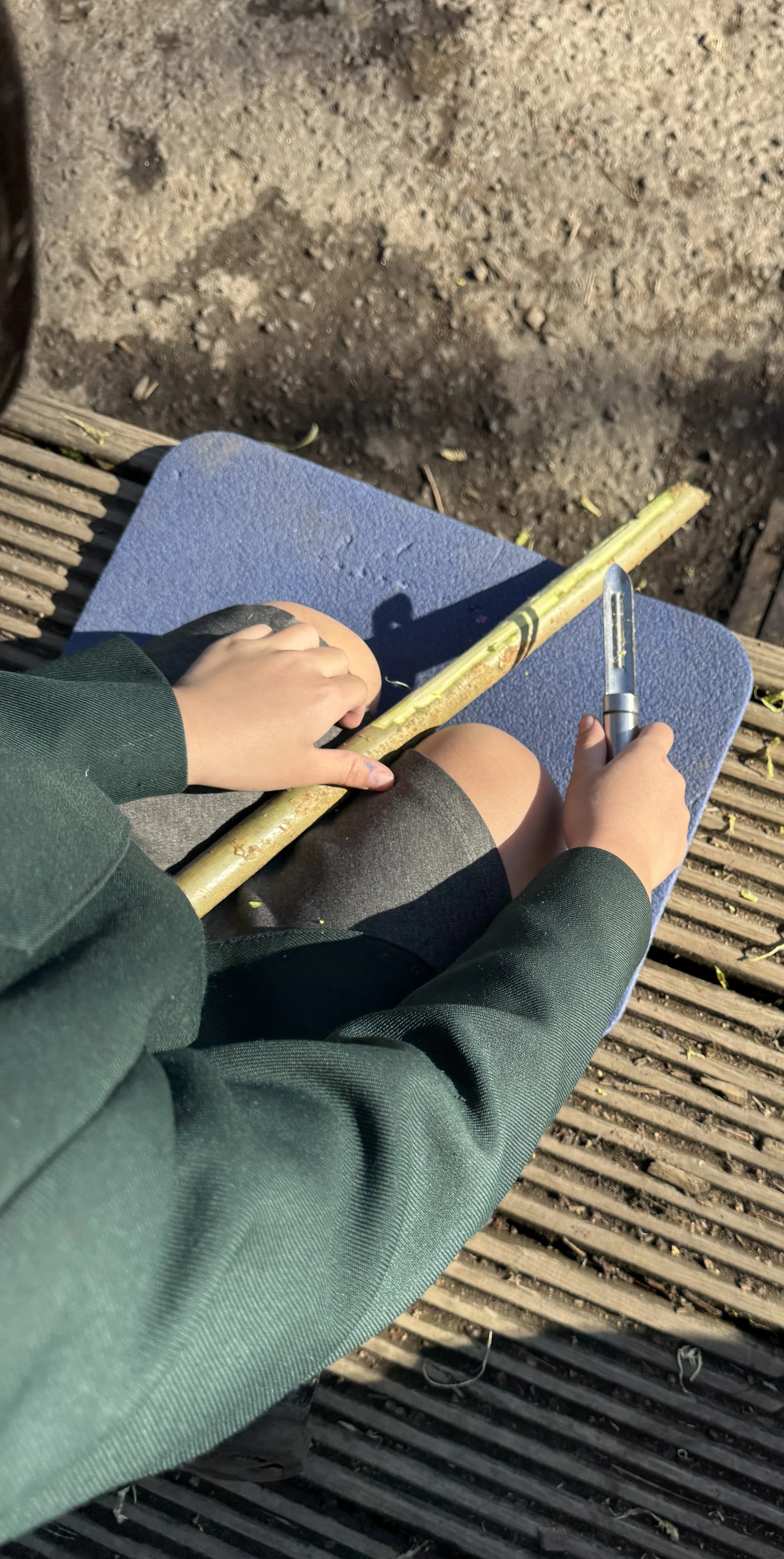 Whittling a stick.jpg